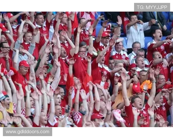 欧洲杯阶段：球迷热情持续高涨，激情点燃足球梦