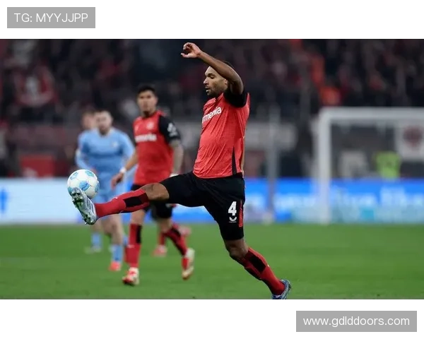 海伦芬进攻套路